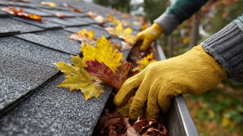 Fall Siding Service
